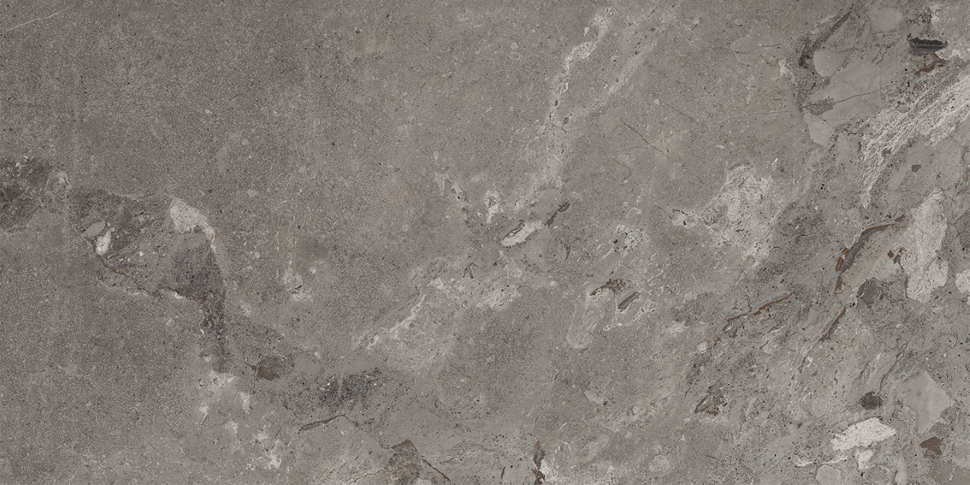 93448 Karnis Charcoal Matt 60x120 Cerdomus