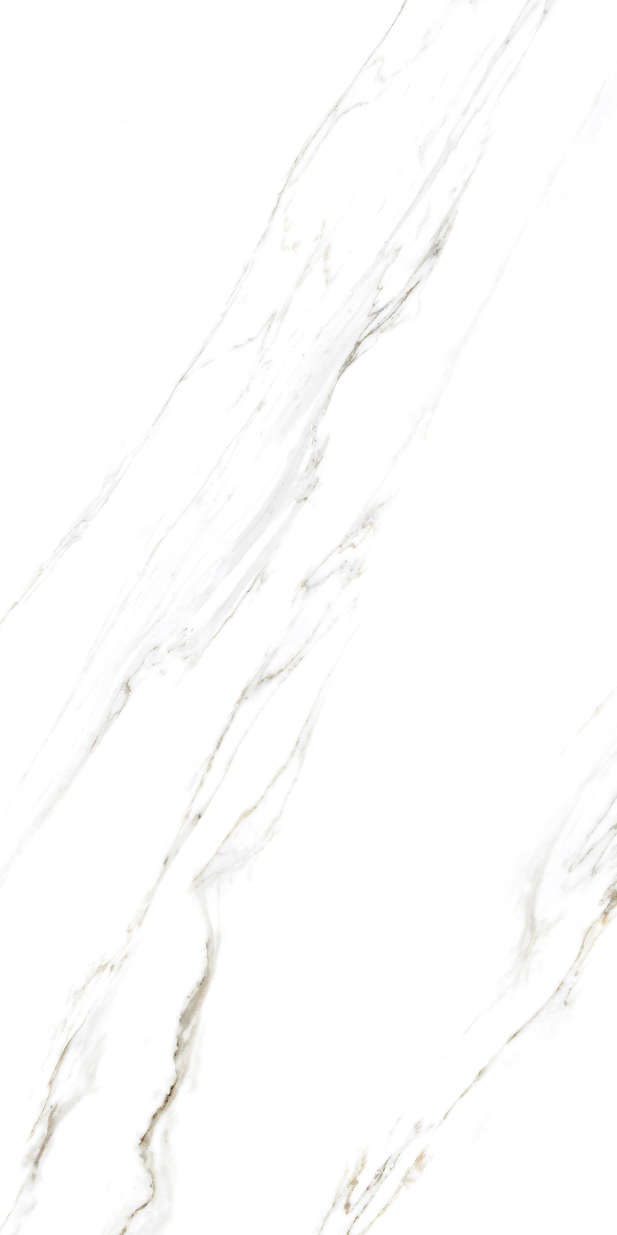 885 Calacatta Caldia 120x60 Artcer