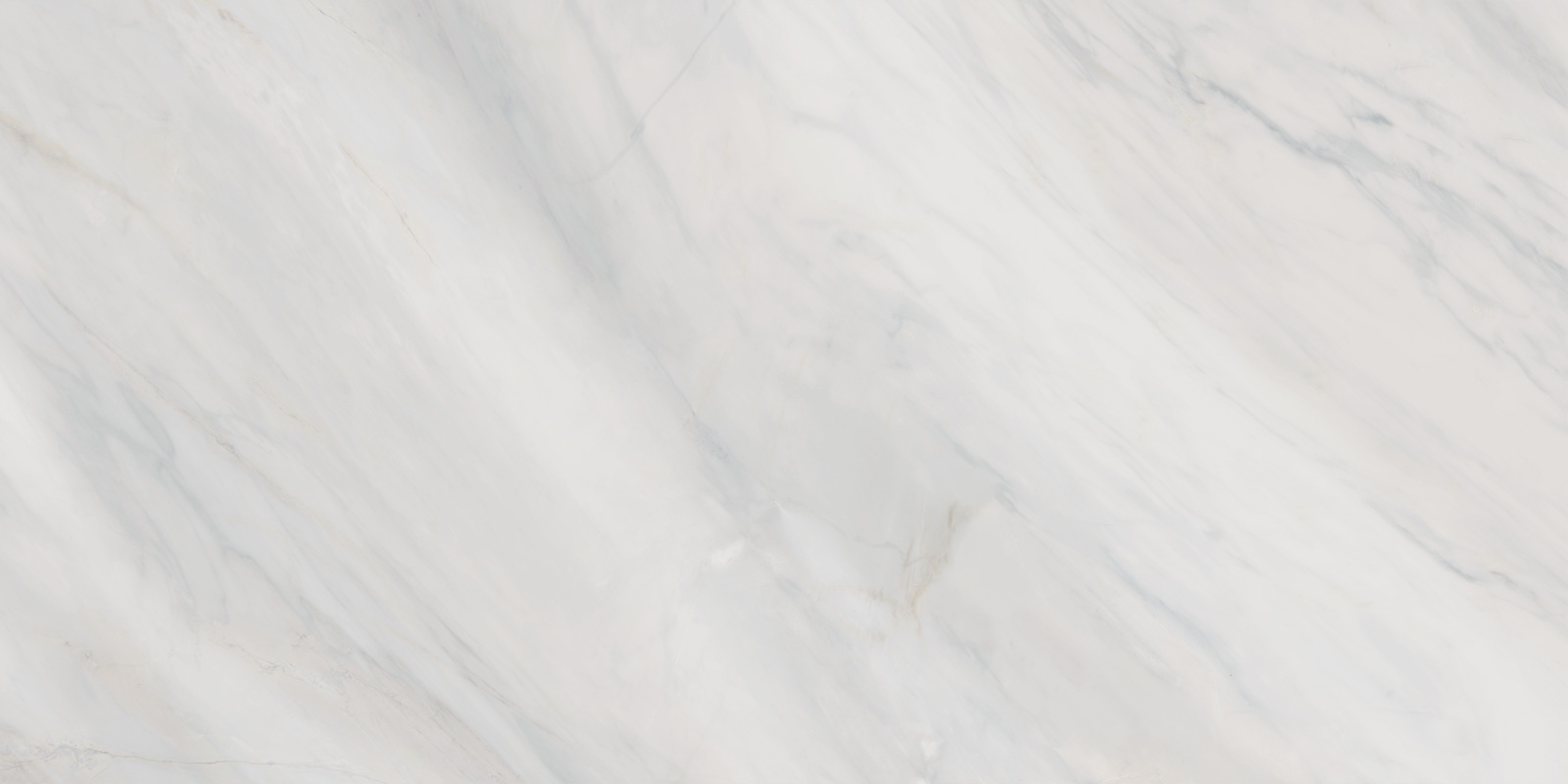 60120CAA03 Carolina Pearl Sugar 600x1200x9.5 Delacora