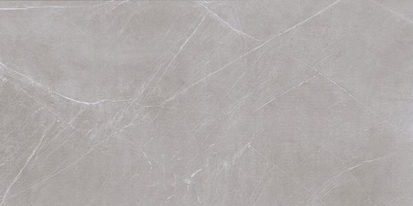 Atlas Grey 60x120 Gravita