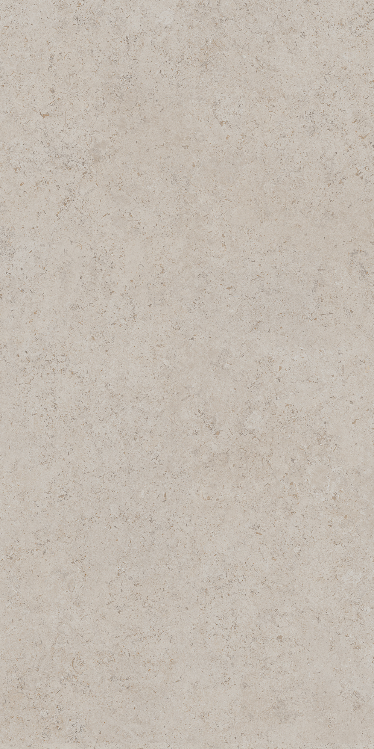 DD590400R Про Лаймстоун АТ бежевый натуральный обрезной R10 119,5х238,5 Kerama Marazzi
