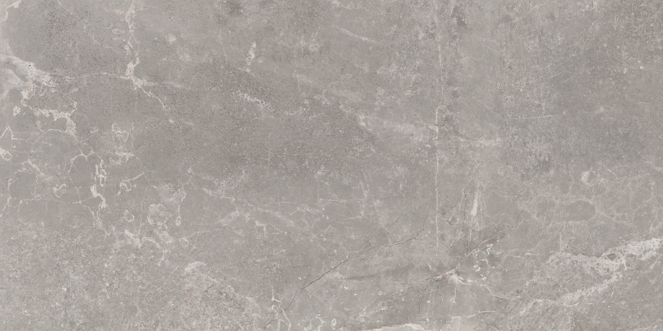 Concept Gray 60x120 Baldocer