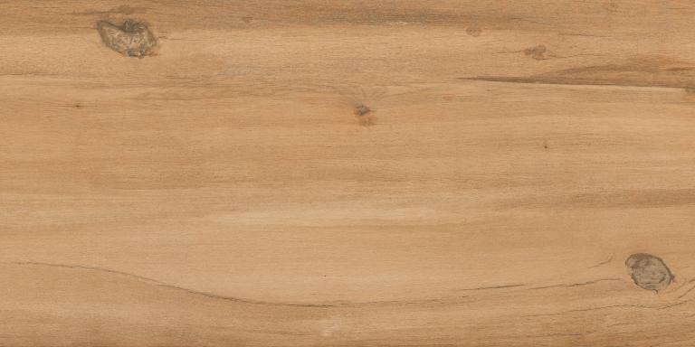 Graphite Wood Beige Сarving 60x120 Casati Ceramica