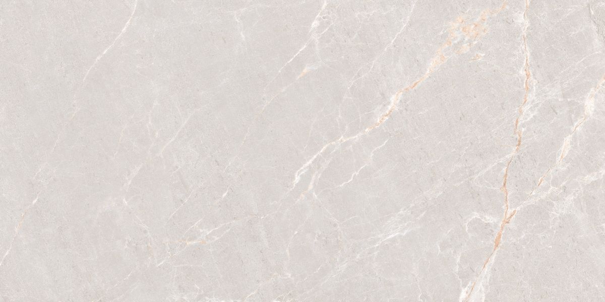 N20552 Persian Grey Matt 60x120 Neodom