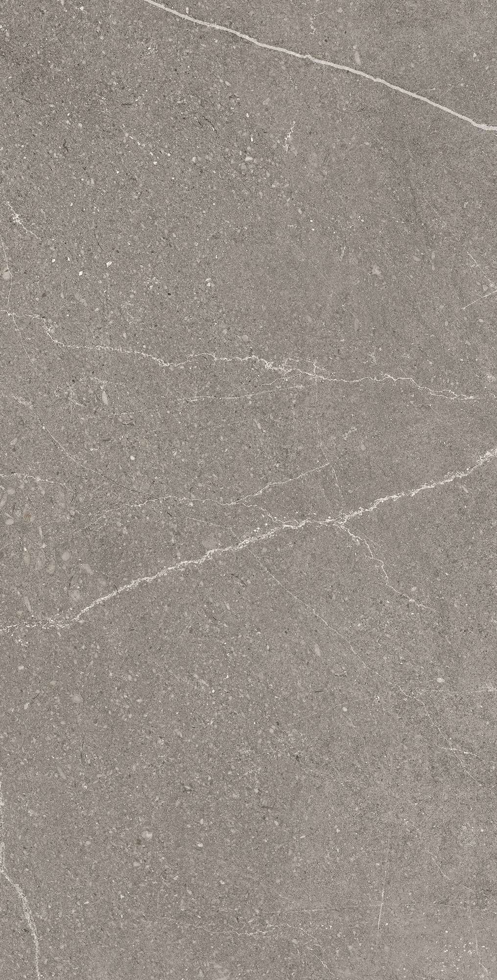 RG6002-A Equistone Graphite Rotto Glossy Ink 60x120 Arcadia Ceramica