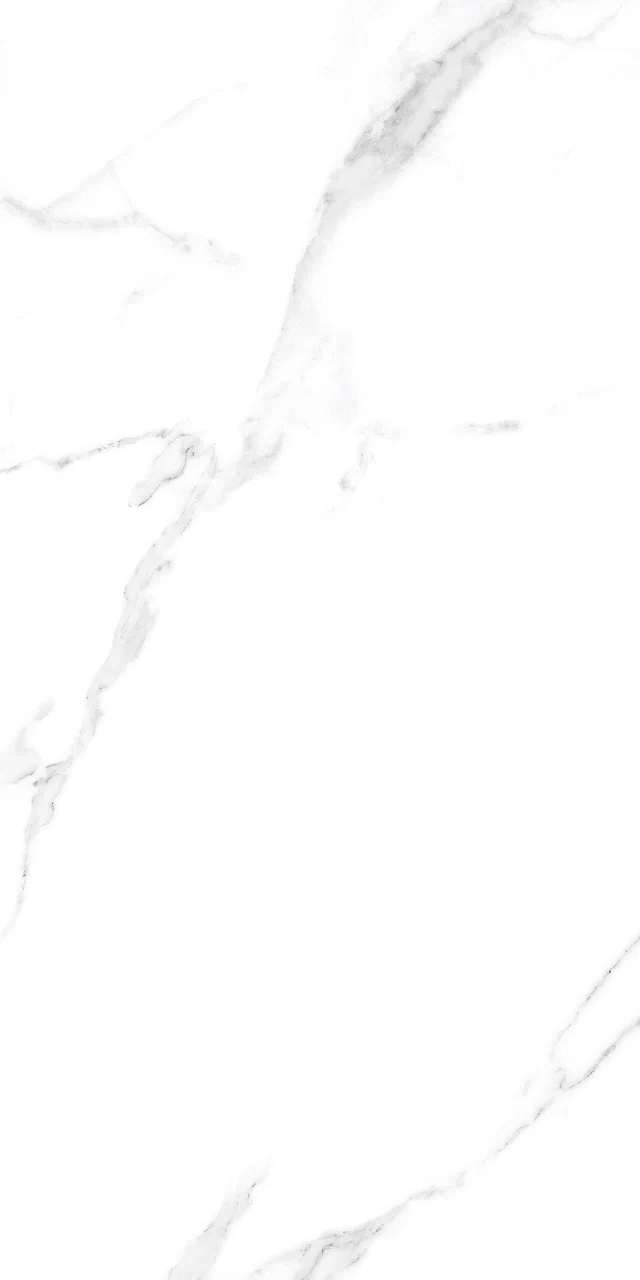 Orlando Bianco Authentic 60x120 BELLEZA фото 5