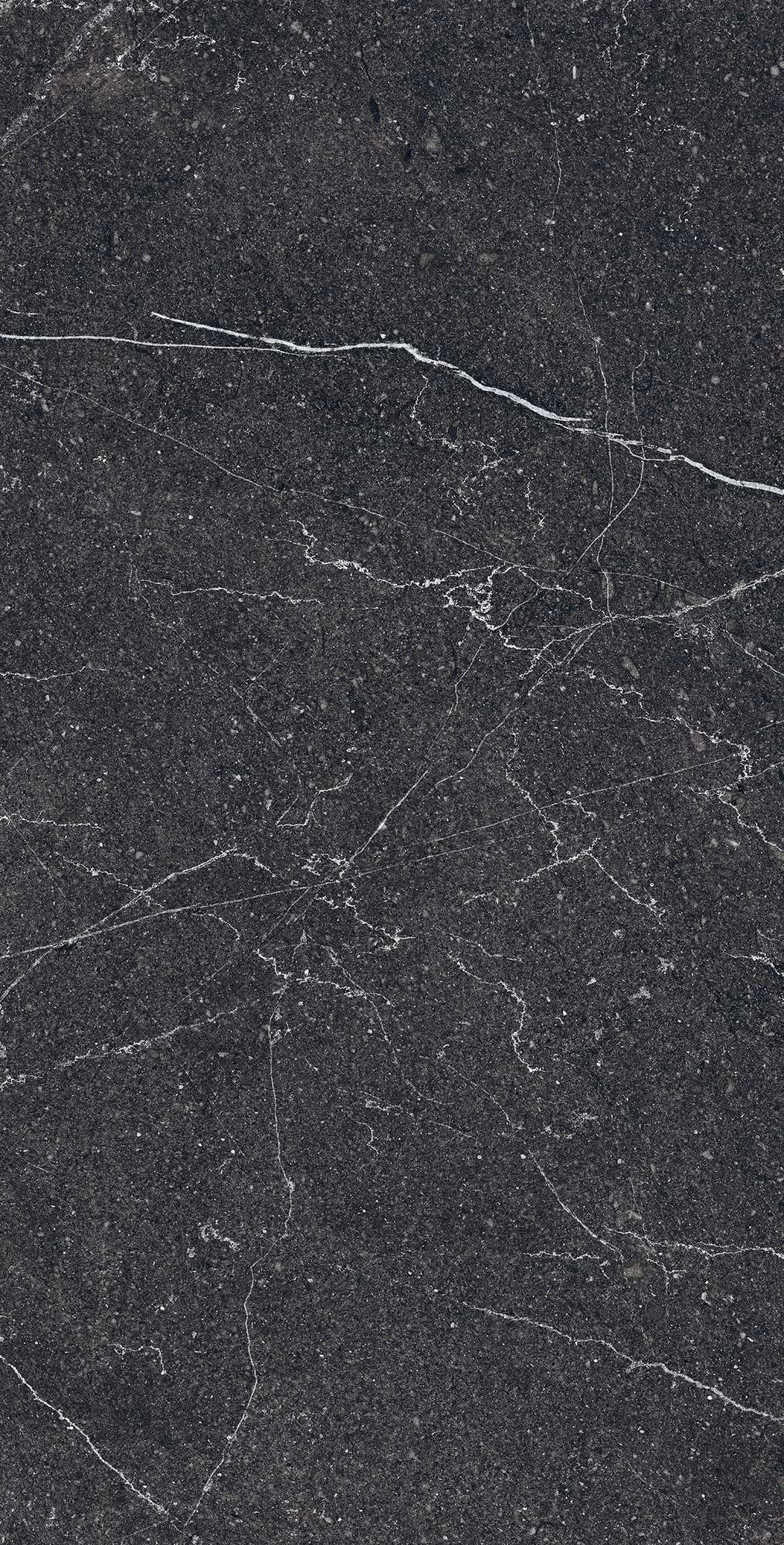 RG6003-A Equistone Charcoal Rotto Glossy Ink 60x120 Arcadia Ceramica