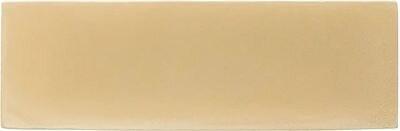 129056 Rebels Mustard Matt 5х15 WOW