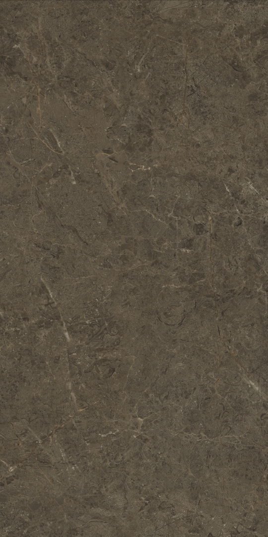 PT12F7039 Neapol Brown Matt 1200х600х9 Protiles