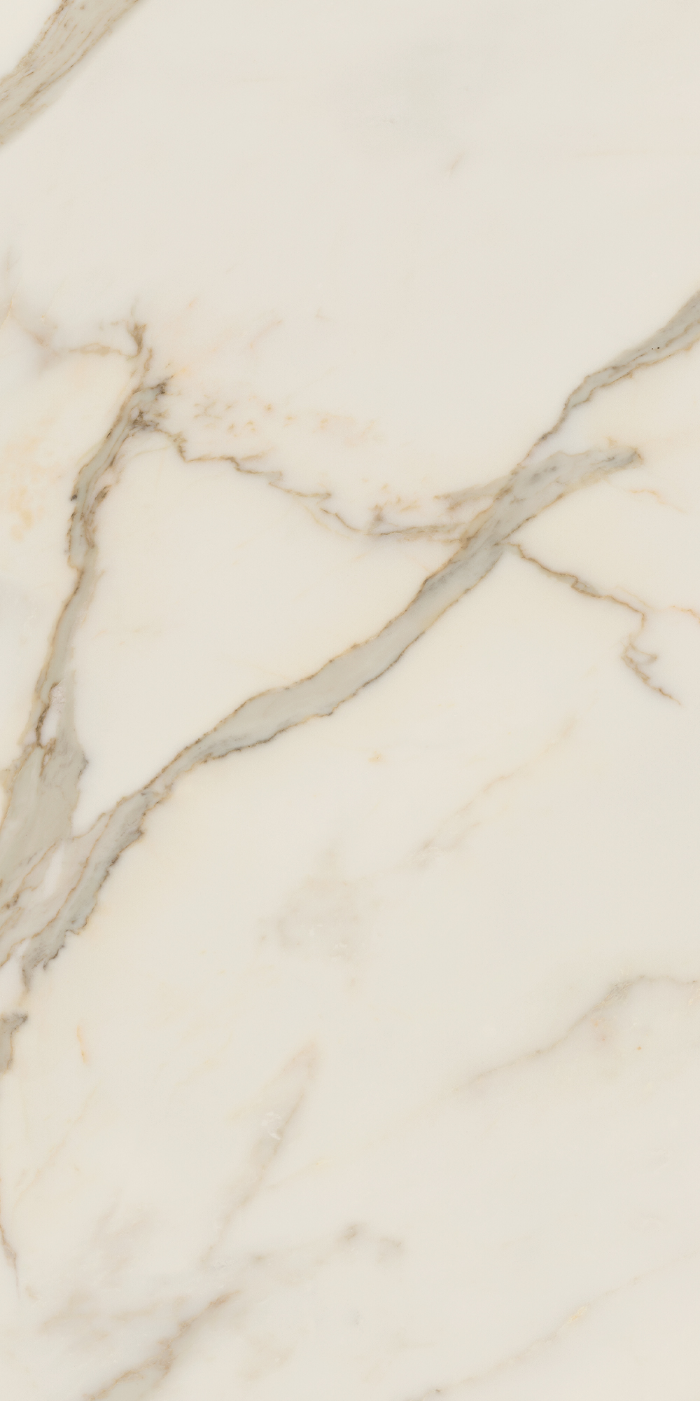 AGB4 Golden White Luc 60x120 Caesar