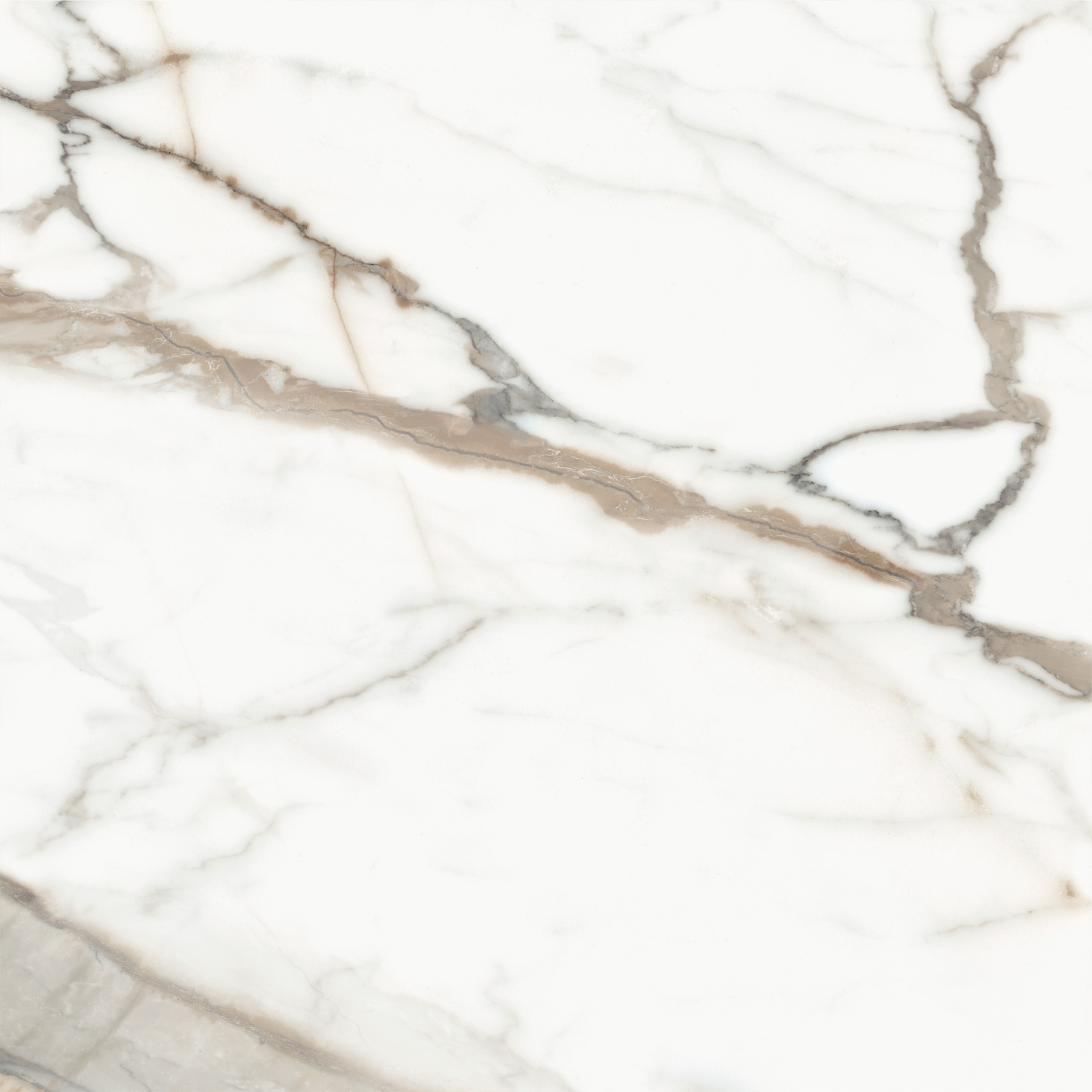 D60209M Calacatta Premium карвинг 600x600x9.5 Delacora