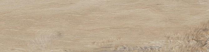 Leccio Gentile 10x40 Serenissima Cir