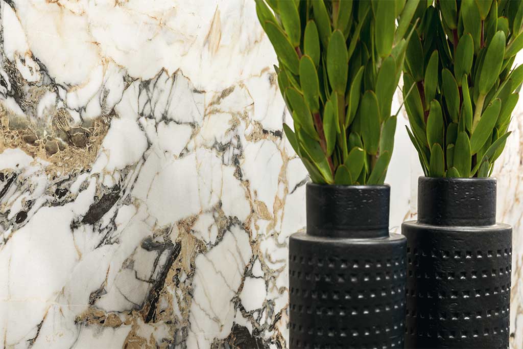 Etoile de Rex Rex Ceramiche