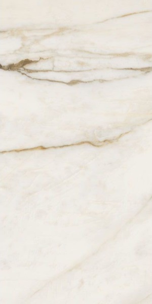 67582 Calac Br Luxr 60x120 Versace (Gardenia Orchidea)