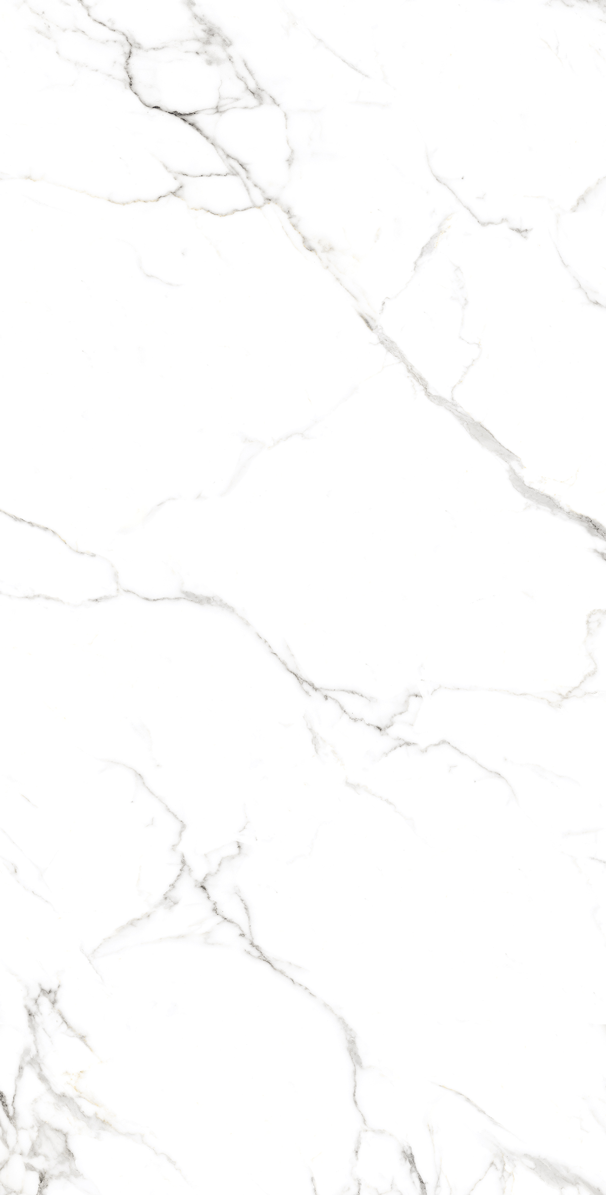 FP1039-A Statuario Fine Full Polished 60x120 Arcadia Ceramica