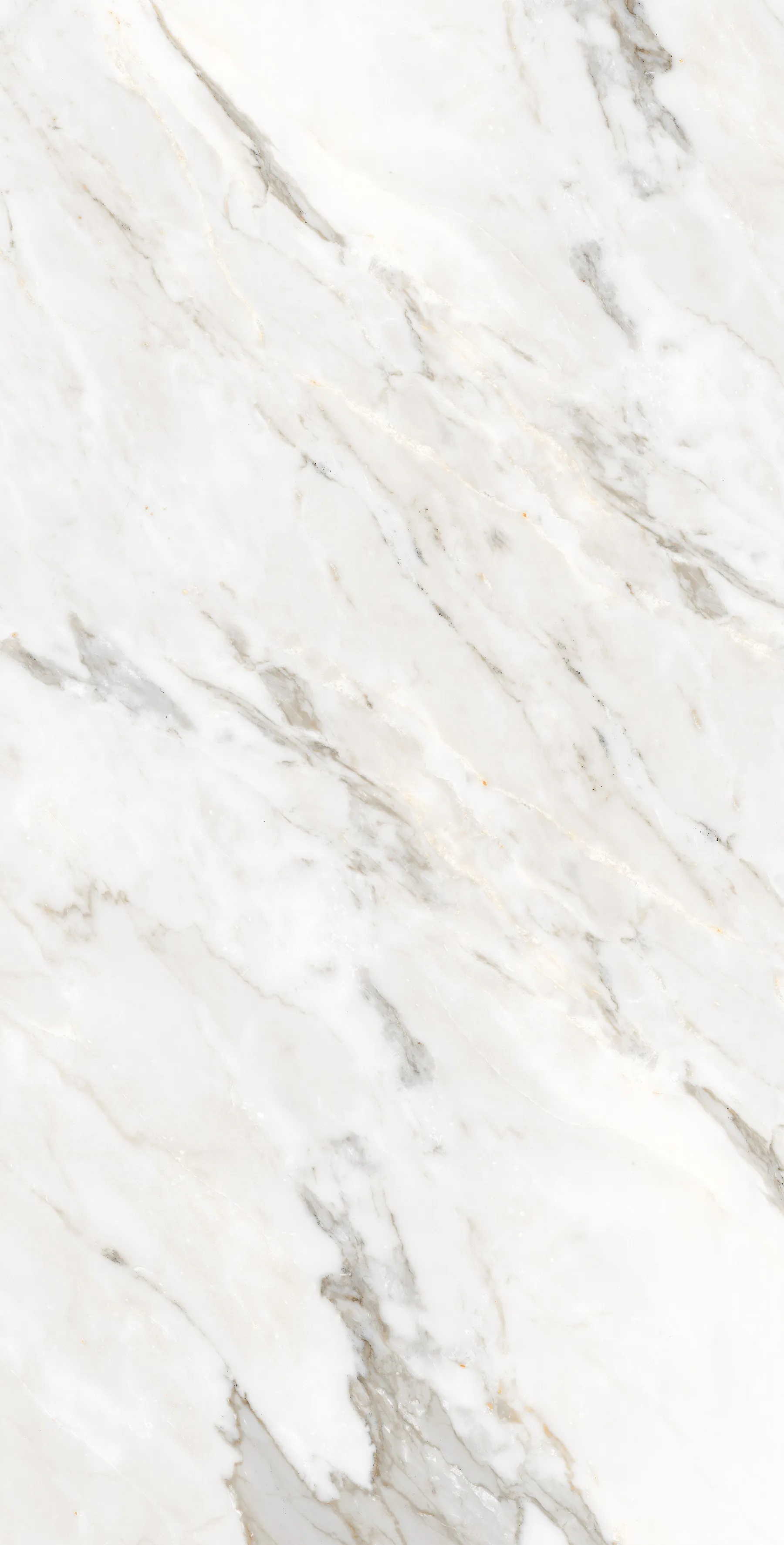 FP1006-A Calacatta Oro 60x120 Arcadia Ceramica фото 7