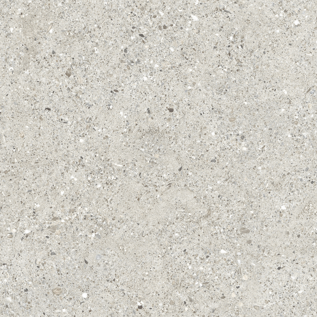 CR6060G0461R8 Гранито Гриджио серый матовый 59.5х59.5 Ceradim фото 3