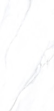 LC201 Palido Grey Lapato Carving 60x120 PrimaVera