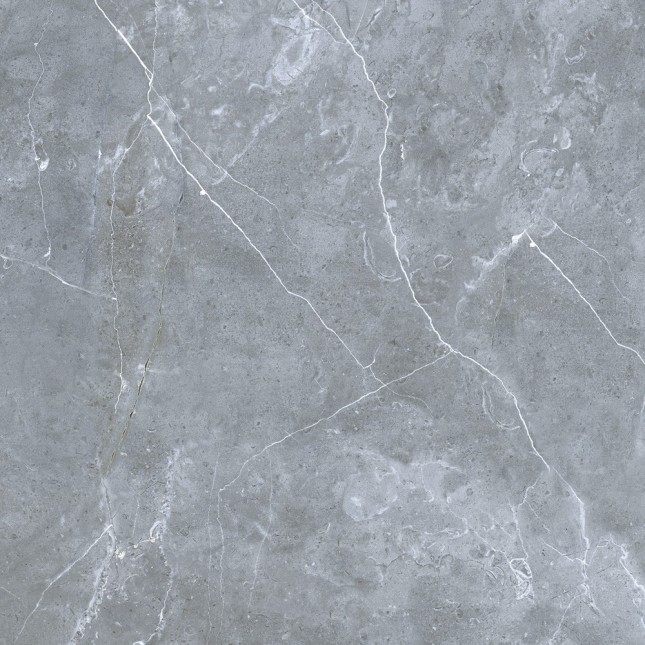 GRS02-16 Petra Northern Silver 60x60 Gresse