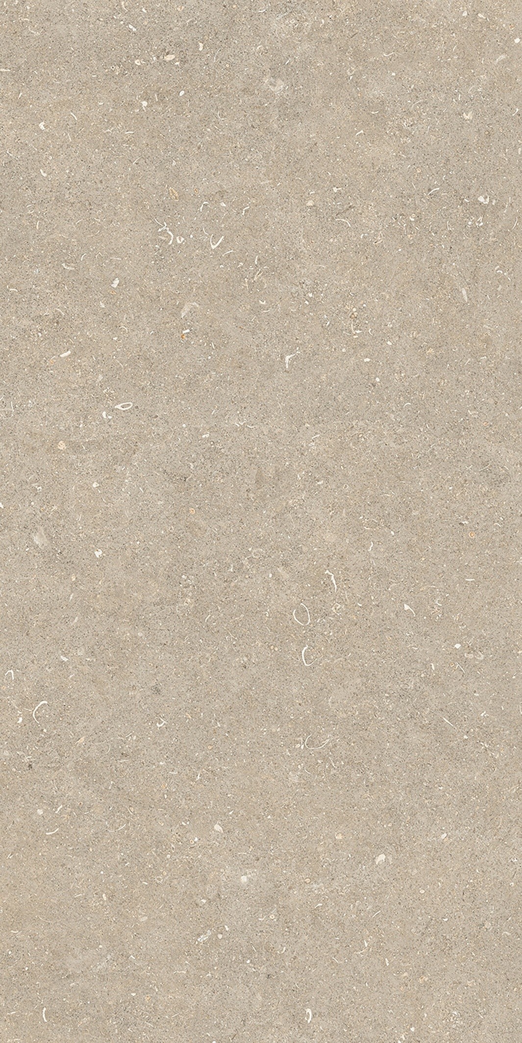 785575 Rinascenza Arena Conchiglia Matte 6mm 60x120 Casa Dolce Casa фото 8