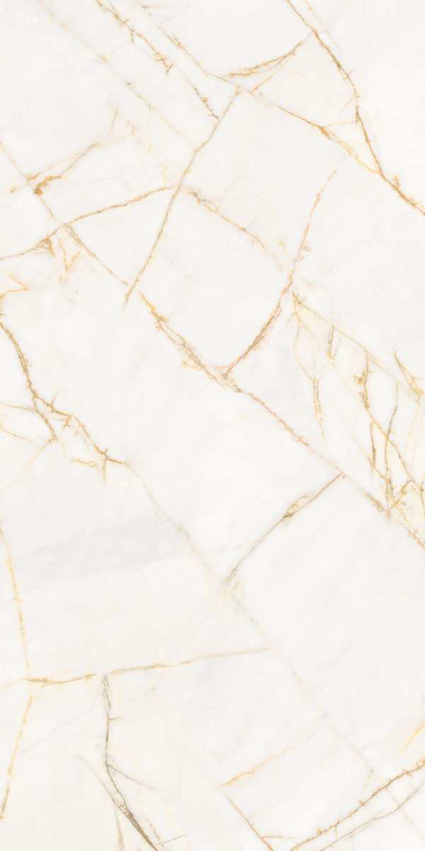 PF60017518 Supreme Hedonism Golden Spider Nat R 60x120 Flaviker