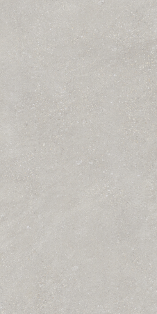 PT12F7048 Pietra Light Grey Matt 1200х600х9 Protiles