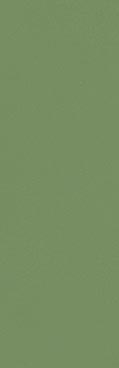 349M Zepto Verde 4,2x13 VIVES