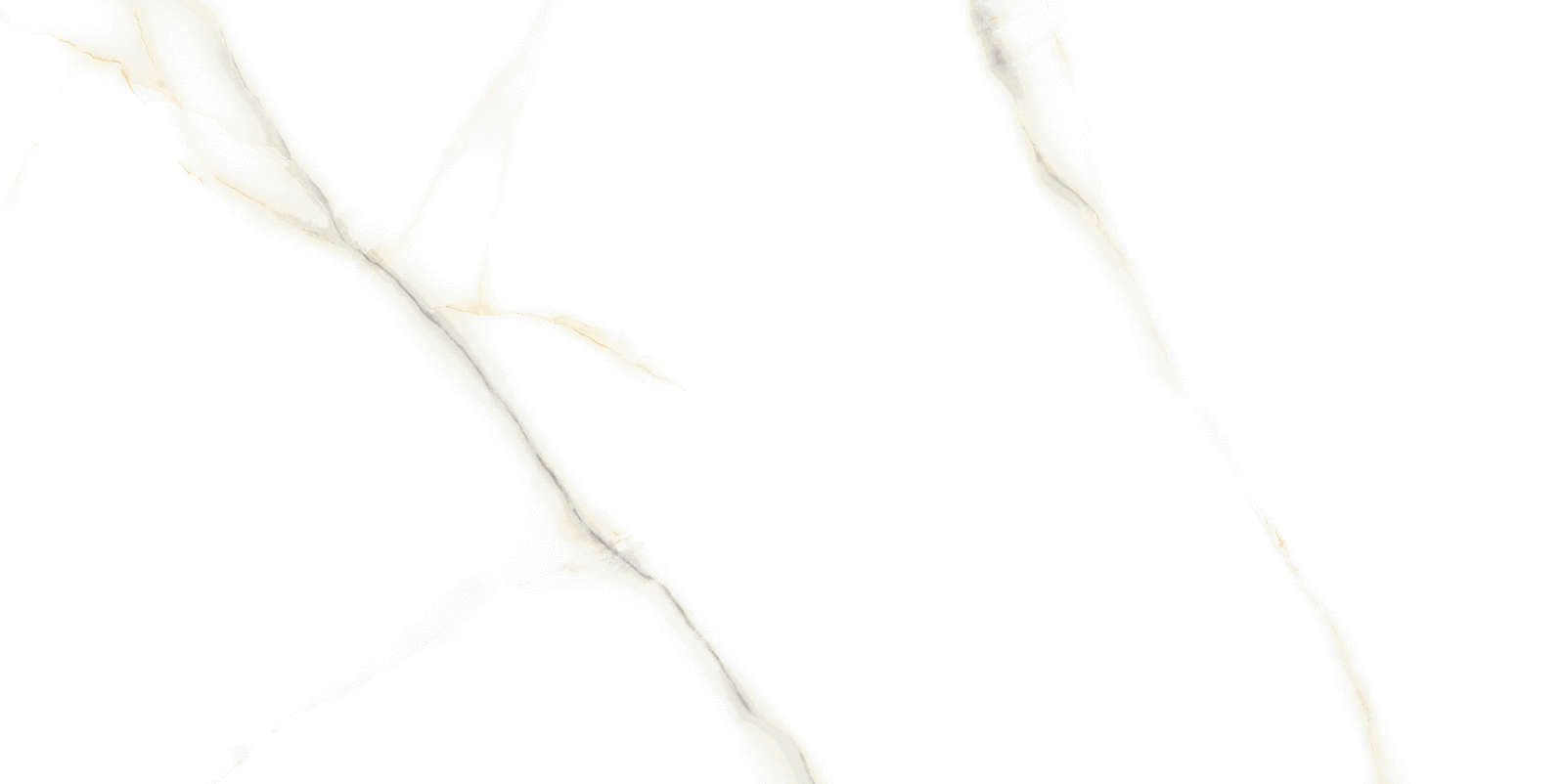 Venato Bianco PGVT 60x120 Casati Ceramica