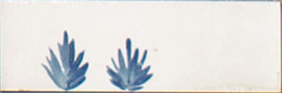 M96T Rice Bianco dec Leaf Lux 5x15 MARAZZI Italy