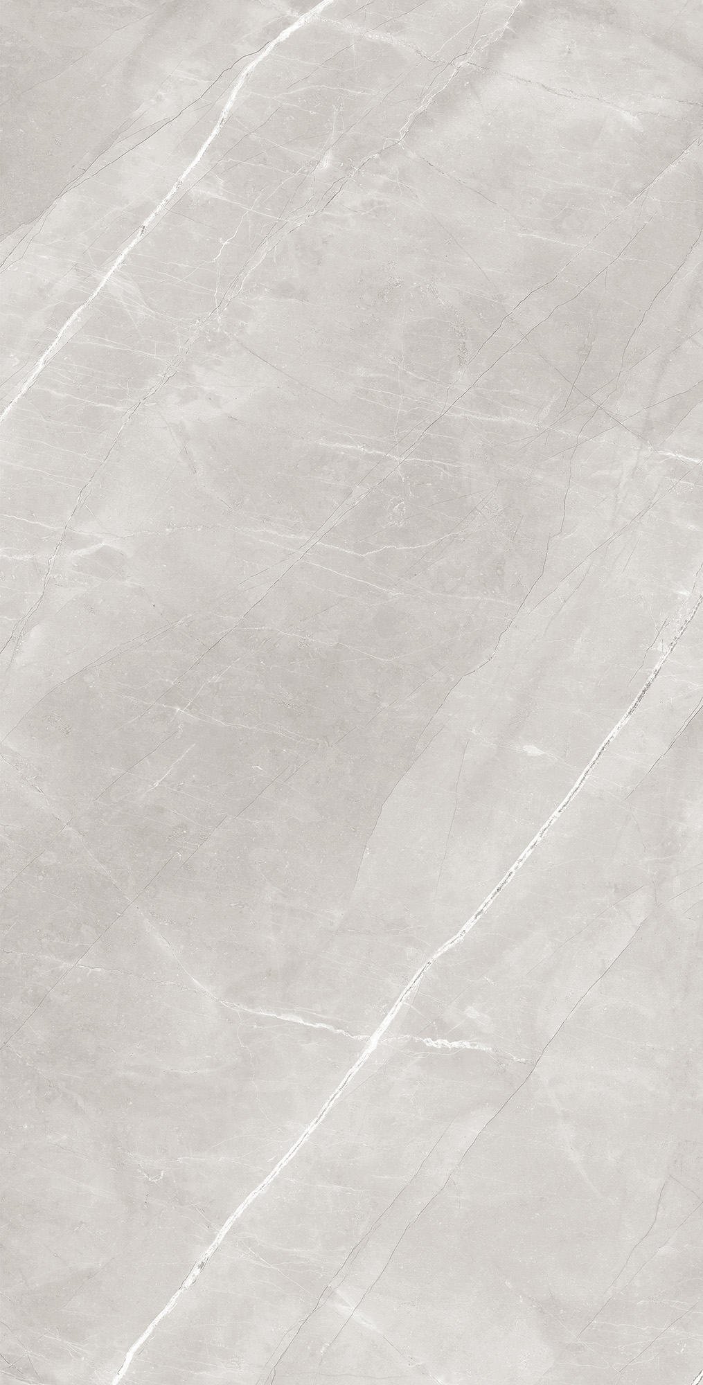 RT7013-A Armani Silver Matt Rustic 60x120 Arcadia Ceramica