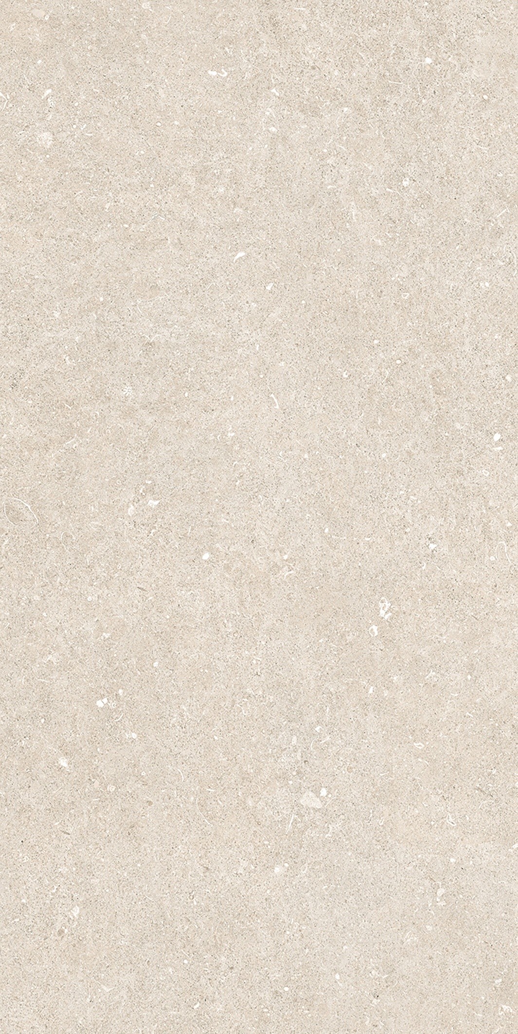 785574 Rinascenza Arena Bianco Antico Matte 6mm 60x120 Casa Dolce Casa фото 9