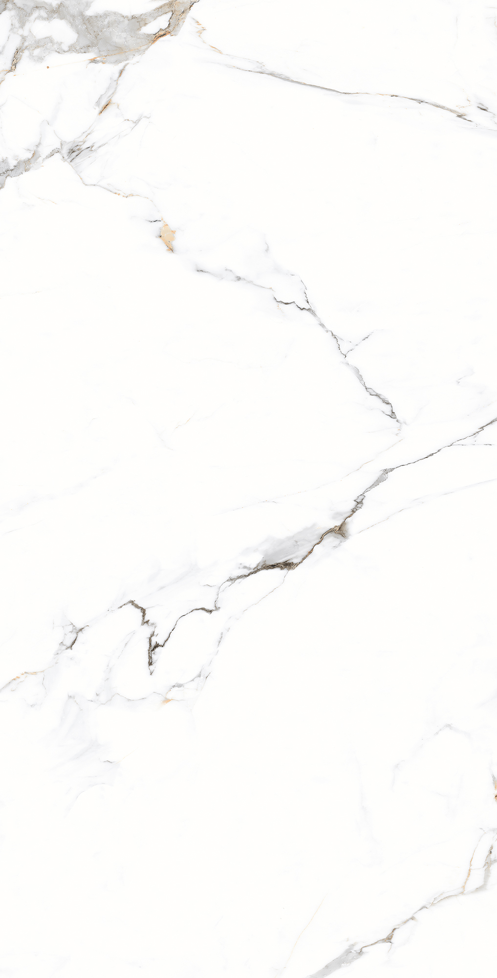 CZ-CR03-B Galaxy Statuario Carving 80x160 Creanza