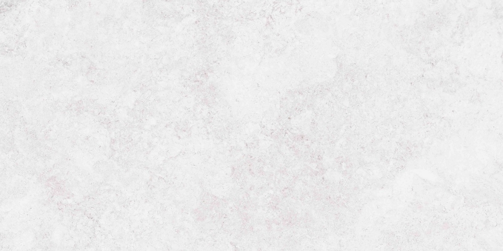 RJ74 Etherea White Matt R 60x120 Refin