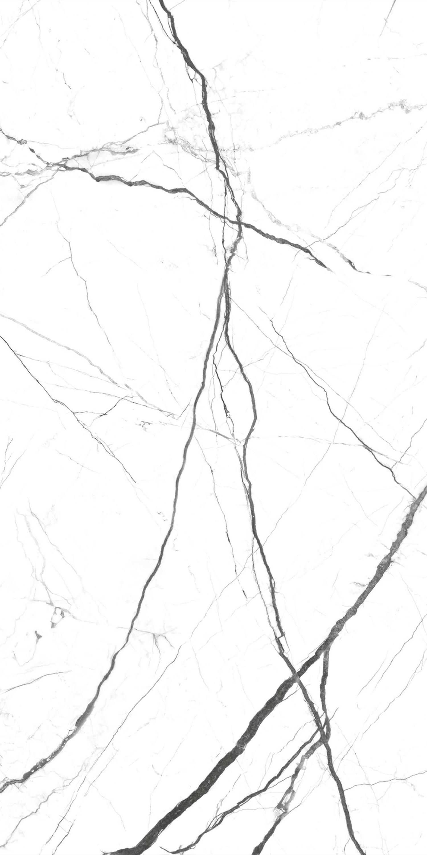 Atlantis Blanco Sugar Carving 60x120 Realistik