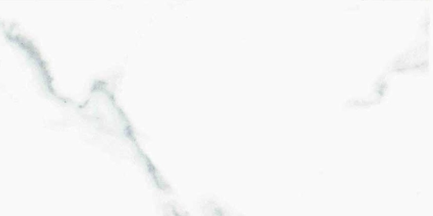 Calacatta Blanco Polished 60x120 Prissmacer