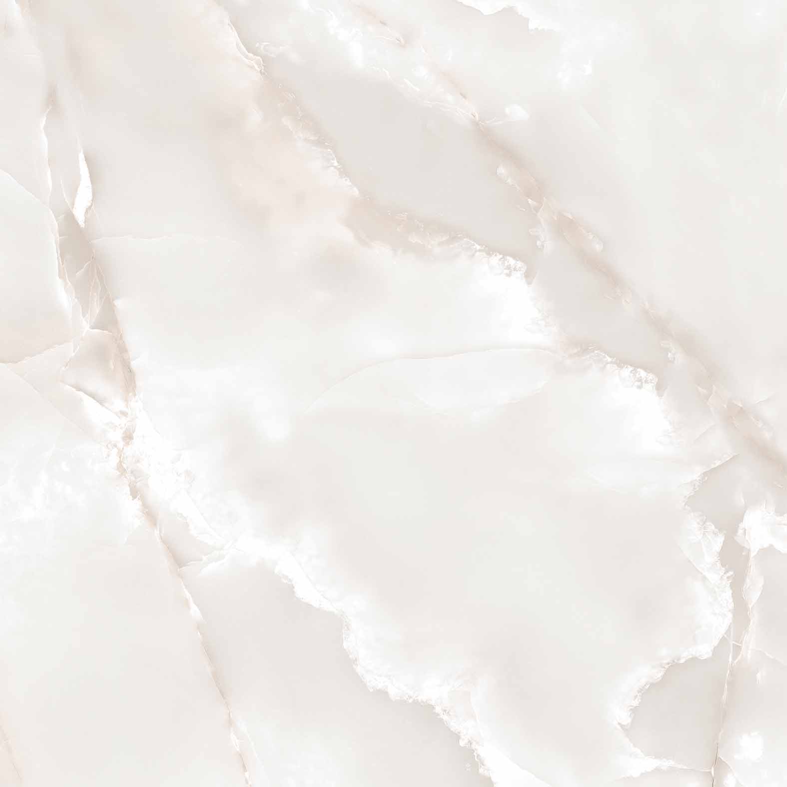 RT6005-A Primo Onyx Grey Matt Rustic 60x60 Arcadia Ceramica фото 7