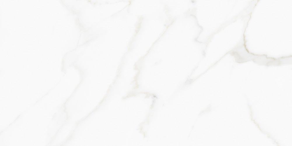 M4408P Omega Exotica Glossy 60x120 Buono Ceramica
