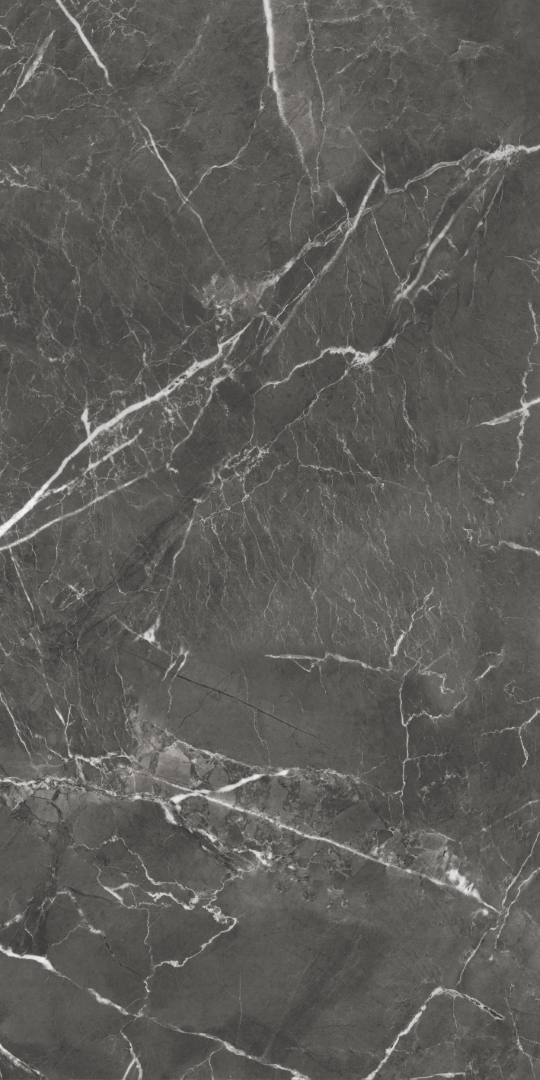 GT1206019809MHRR Oscar Темно-серый матовый 60x120 Global Tile
