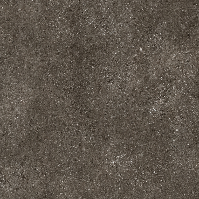 768560 Sensi Brown Fossil Nat Ret 6mm 120x120 Casa Dolce Casa