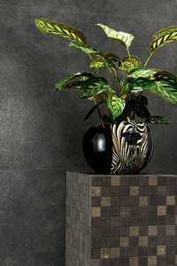 Greek Versace (Gardenia Orchidea)
