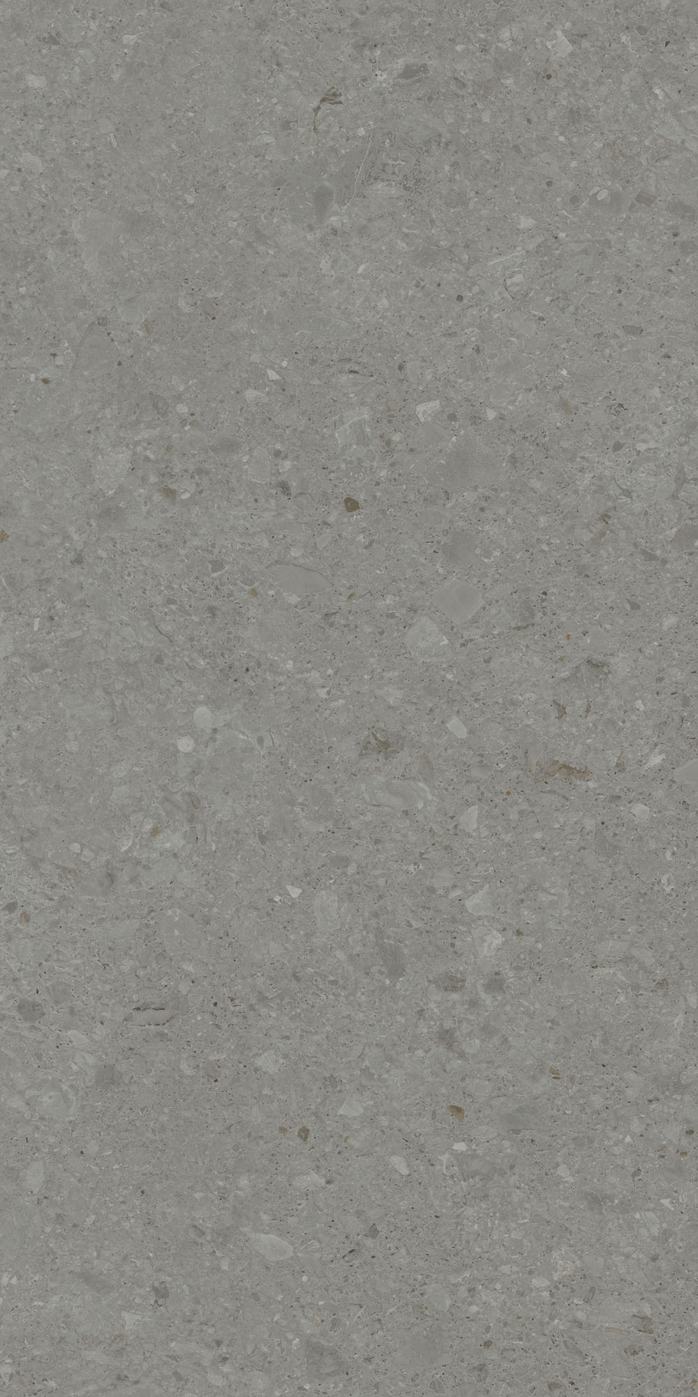 DD591500R Чеппо ди Гре серый тёмный матовый обрезной 119,5x238,5x1,1 Kerama Marazzi
