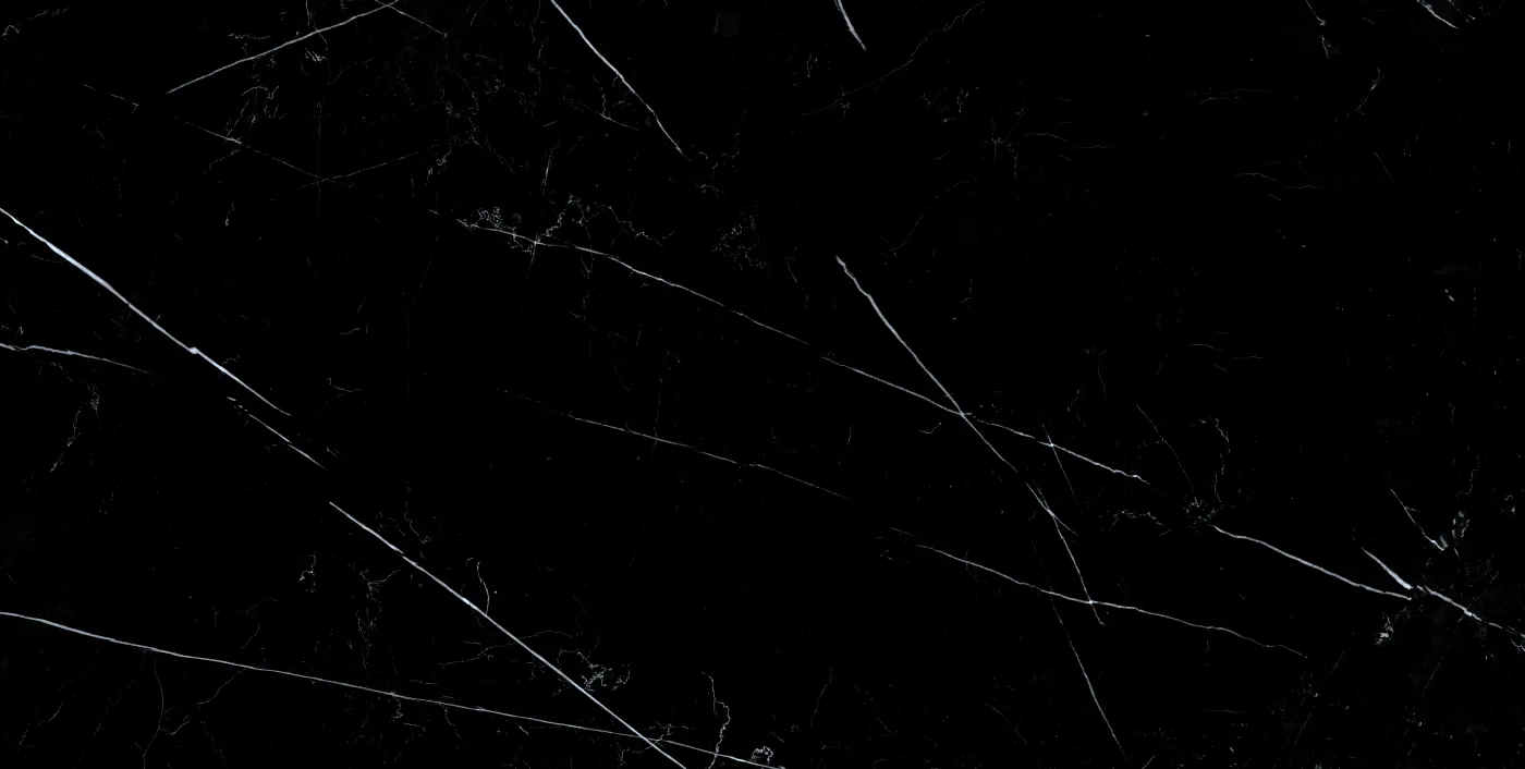 Odin Black Matt 60x120 Seranit