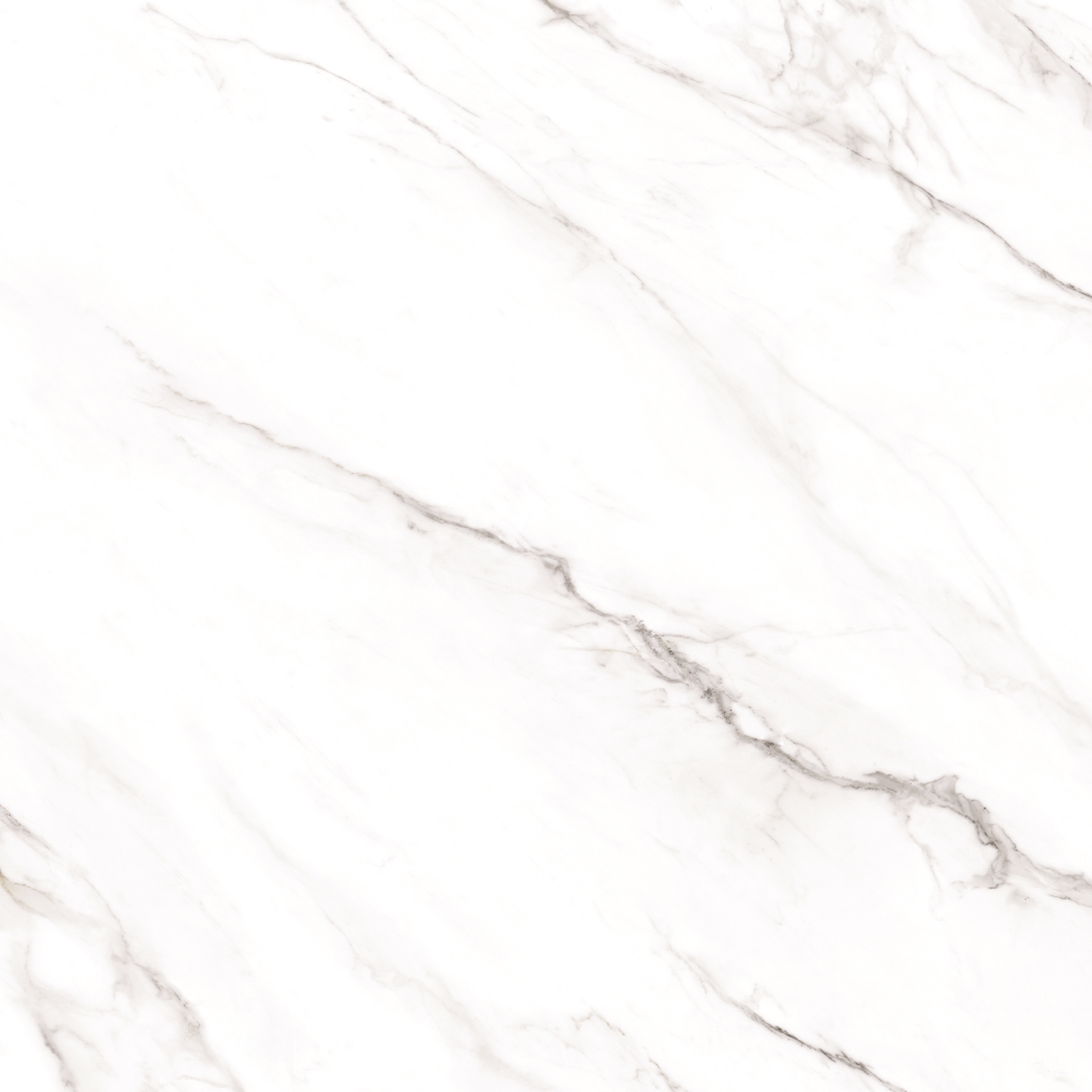 Statuario Alaska Glossy 80x80 Maimoon Ceramica