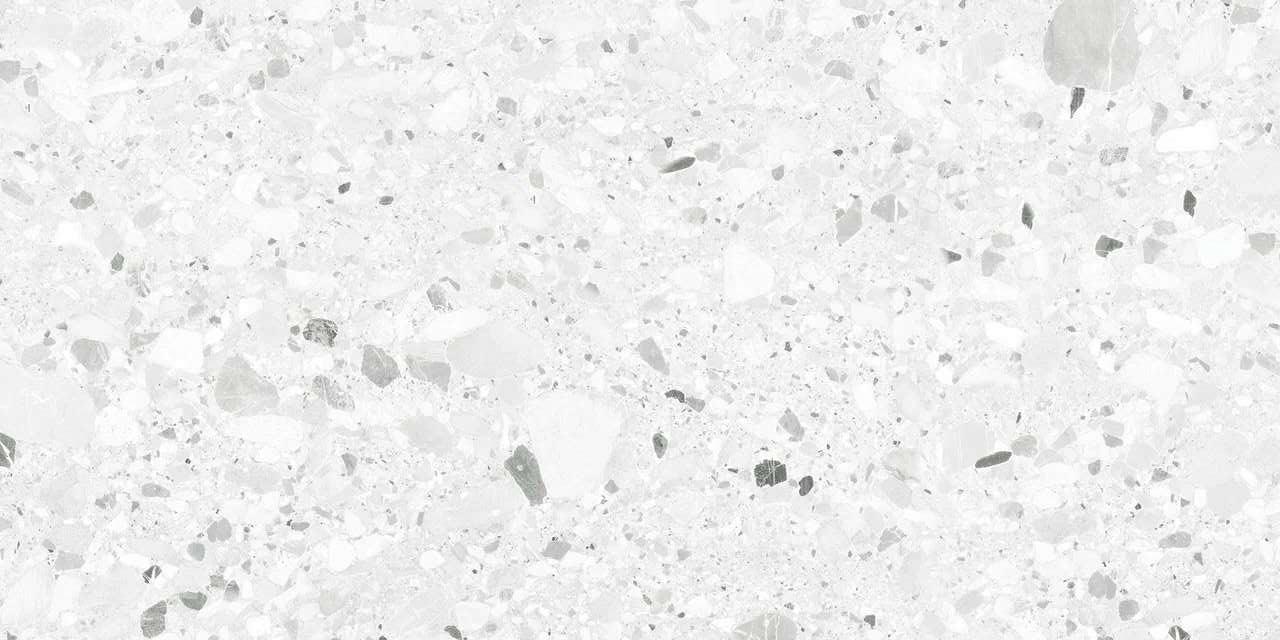 RS 1029 White Carving 60х120 LV Granito фото 2