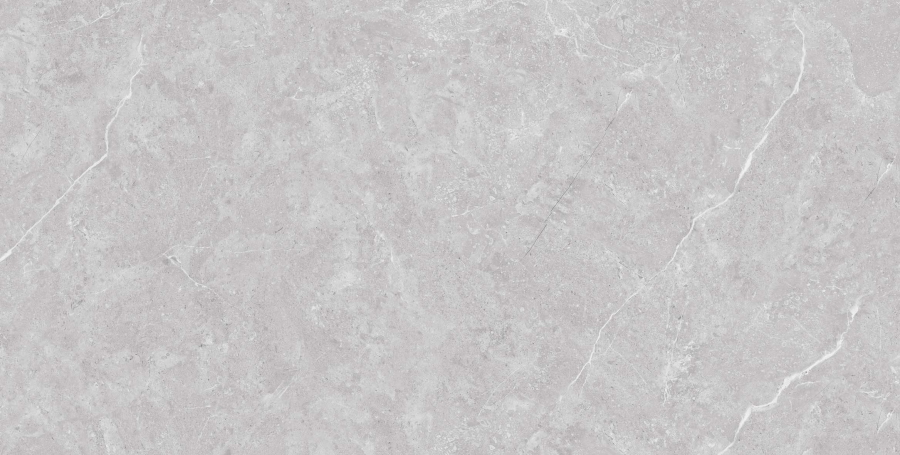 N20436 Tokyo Grey Matt 60x120 Neodom