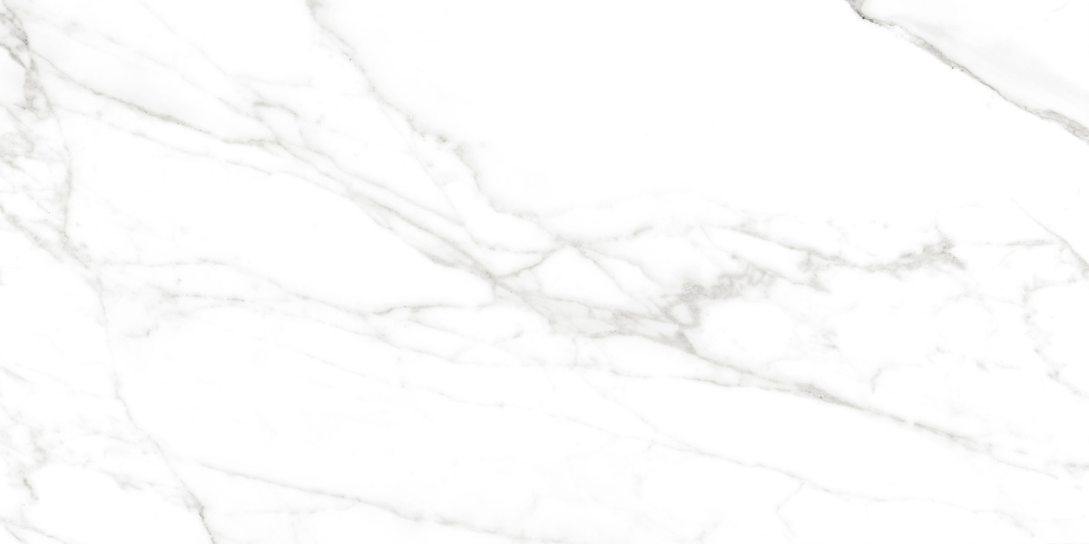 Calacatta Bianco PRO белый матовый R10GR CB 60х120 Laparet