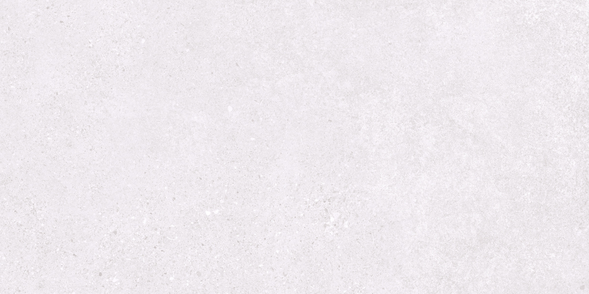 Базальт Эксепшнал Сноу светло-серый матовый 60х120 Ceradim фото 3