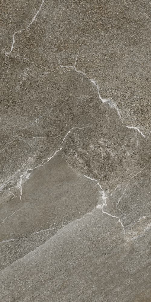 6493-0146 Гроза бежево-коричневый 60х120 Lasselsberger фото 6