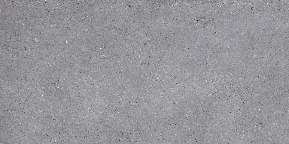 NR210 Nemo Grey 60x120 PrimaVera
