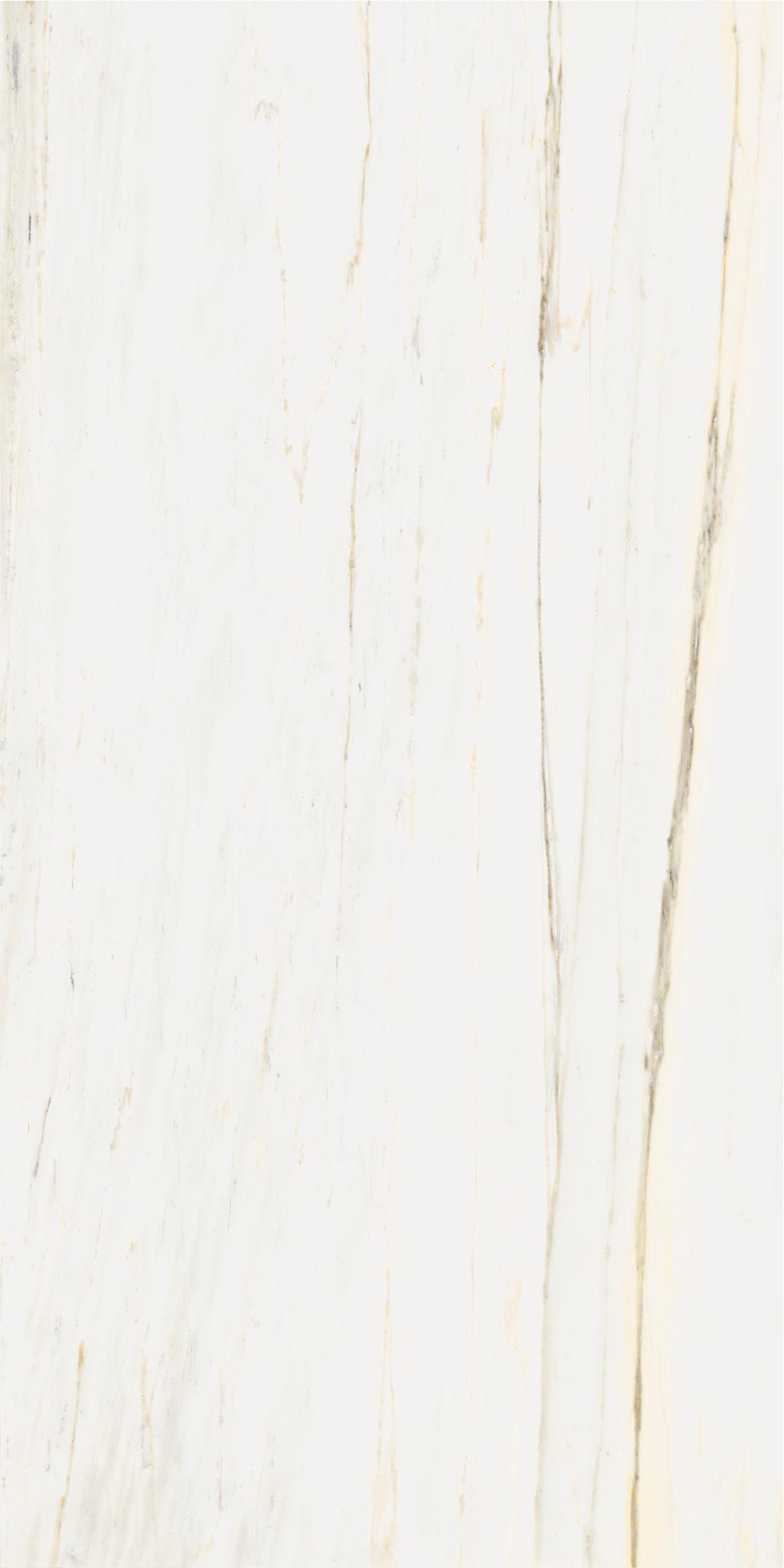 610010002833 Stellaris Carrara Ivory Nat Ret 60x120 Italon